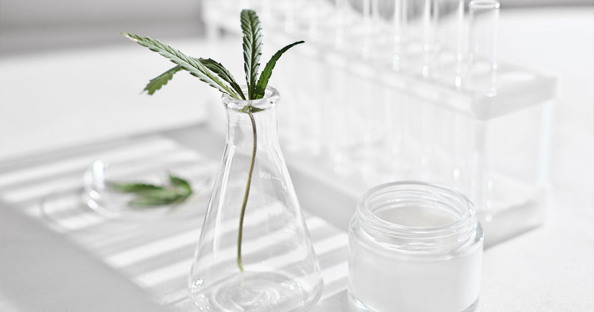 Cannabinoid leaves in vase