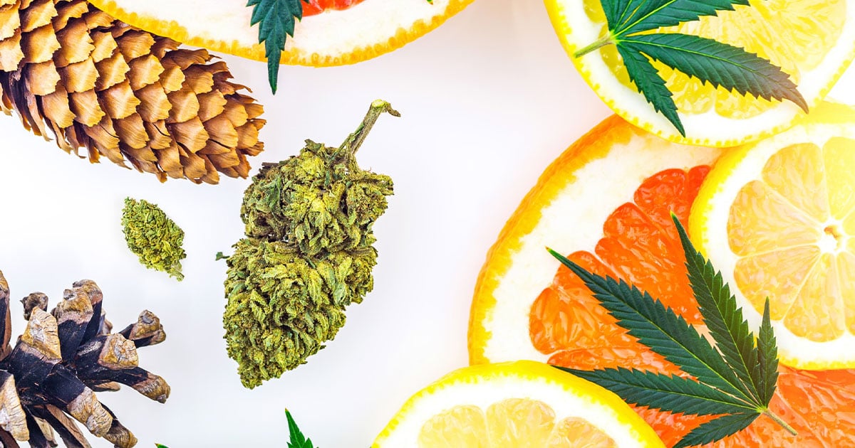 Cannabis and fruit