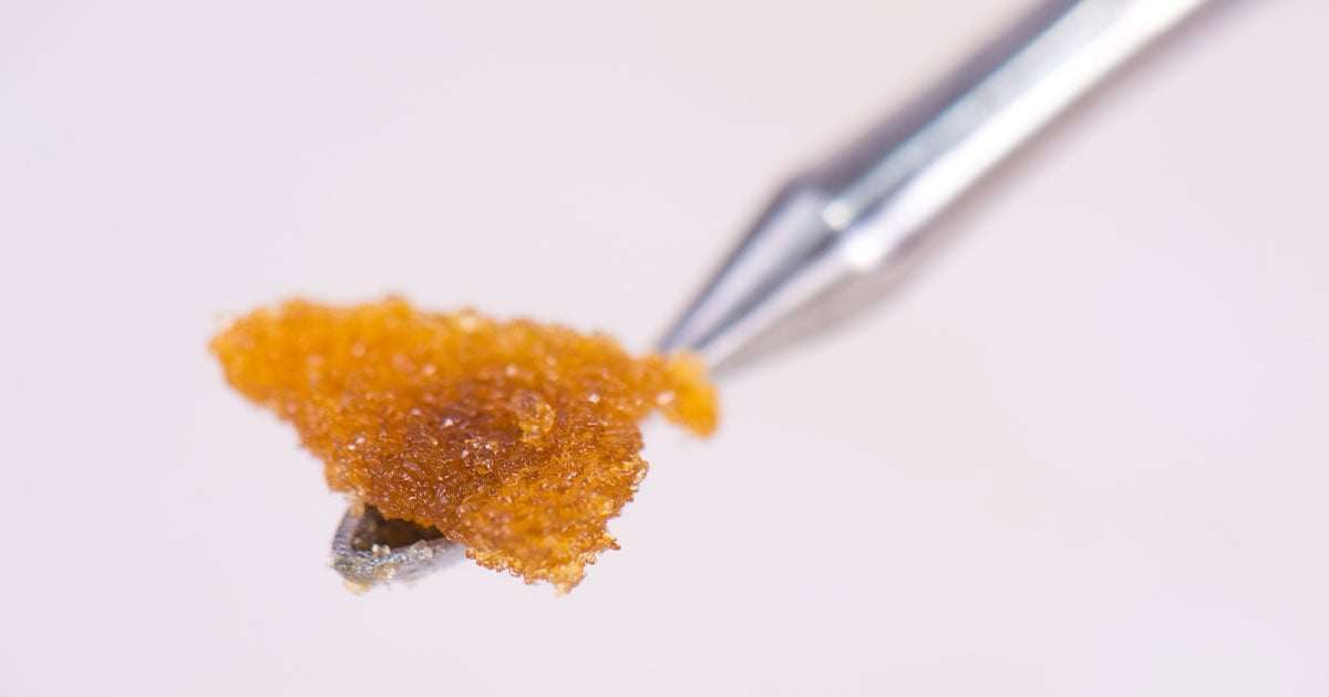 Live cannabis concentrate resin