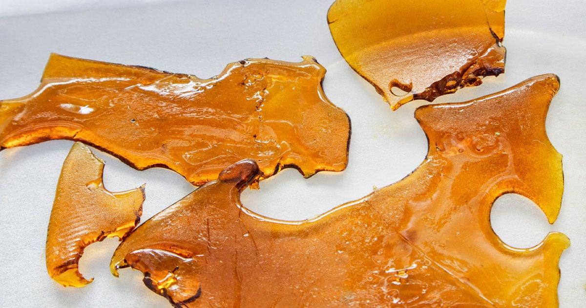 Cannabis shatter on white background