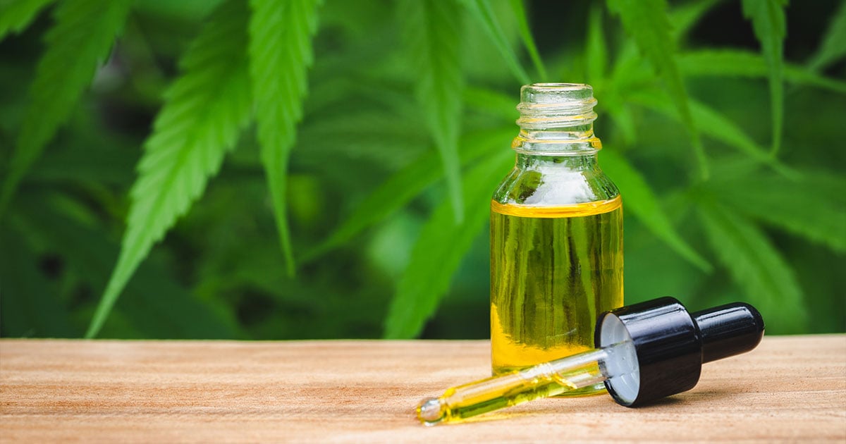 cbd-oil-in-tincture