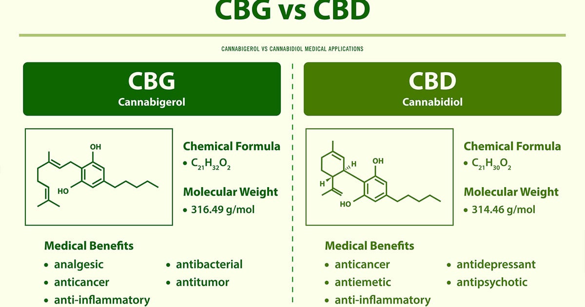 CBG vs CBD