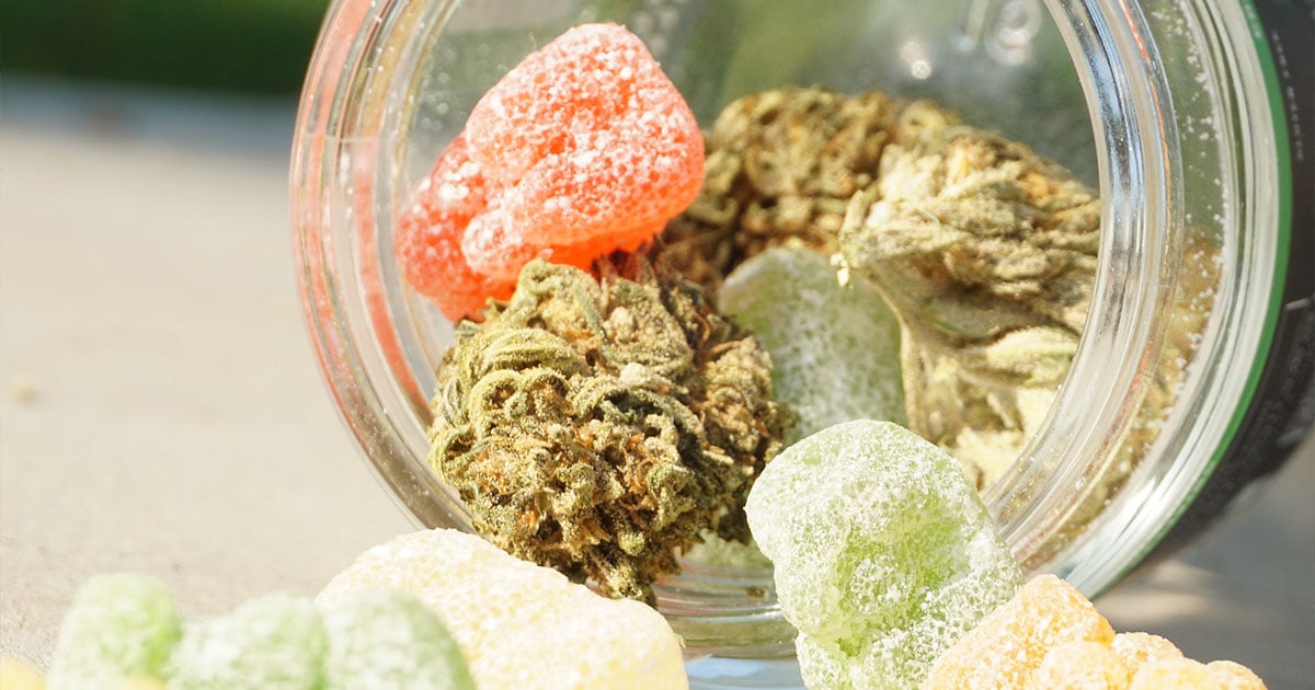 Jar of weed nugs and gummies