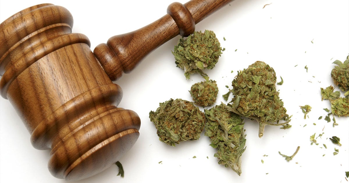 marijuana and the law