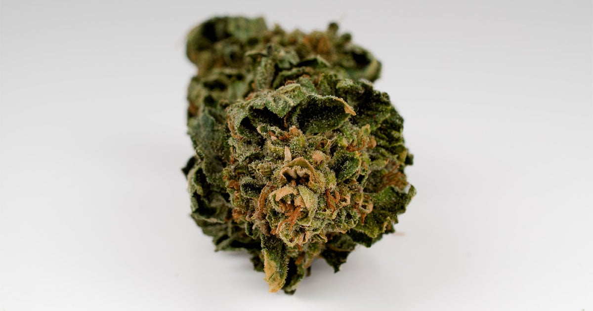 marijuana bud cherry strain