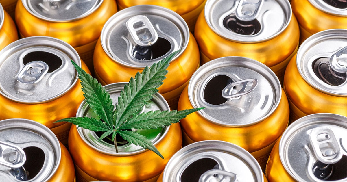 Marijuana leaf on soda cans