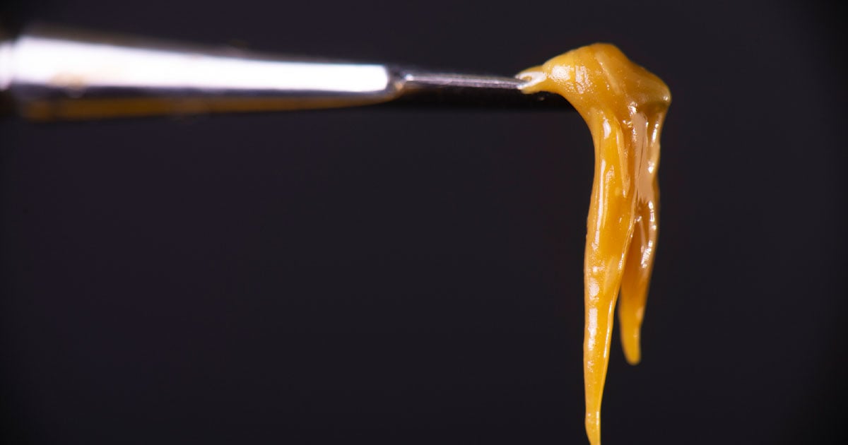 Melted Cannabis Concentrate