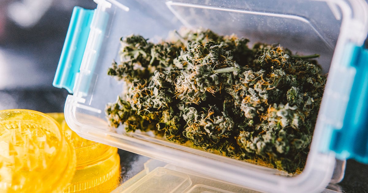 weed inside a container